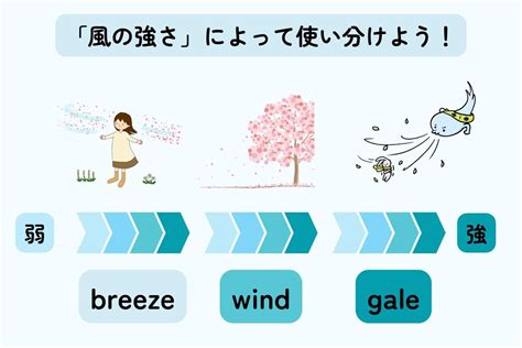 風形容|風の種類、風のつく言葉など 50 